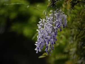 温岭婚纱门图片