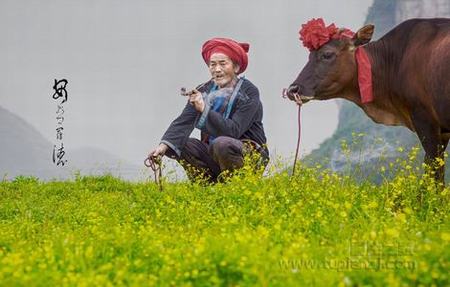 苹果电影佟大为全集