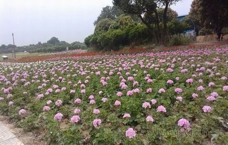 萧驰野沈泽川初次